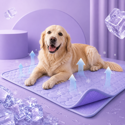 CoolPaws