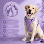 PawGuard