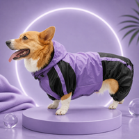 RainPaws Suit