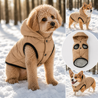 WarmPaw