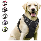 PawGuard