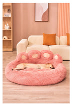DreamNest
