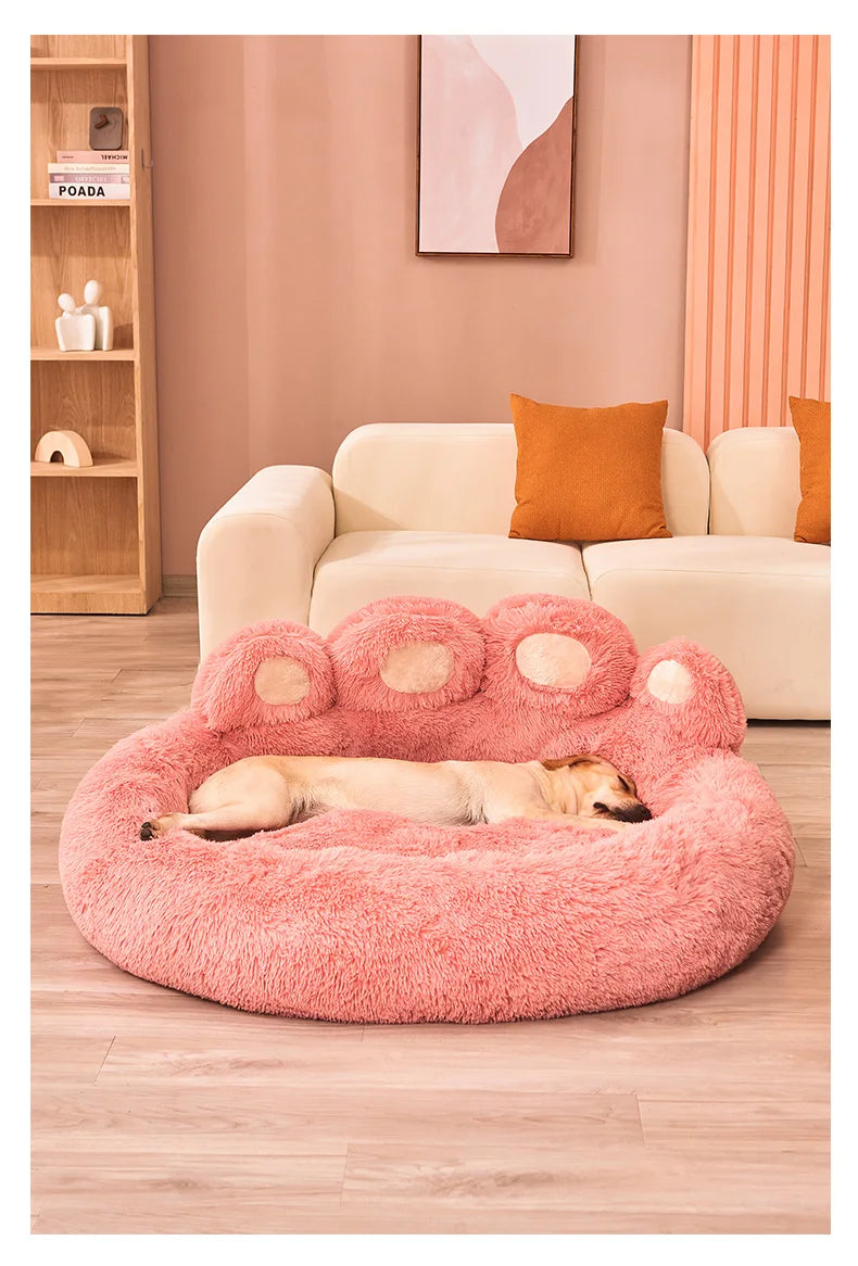 DreamNest