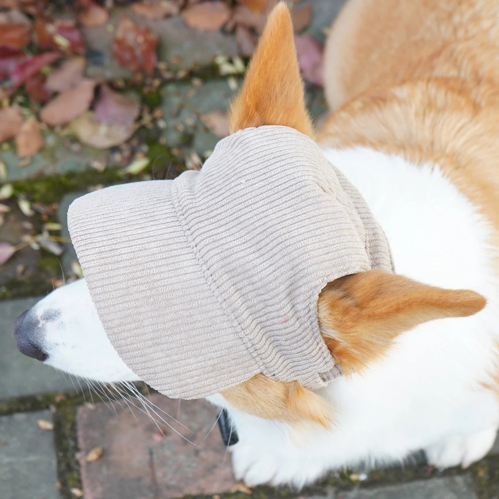 PawCap