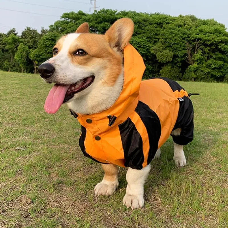 RainPaws Suit