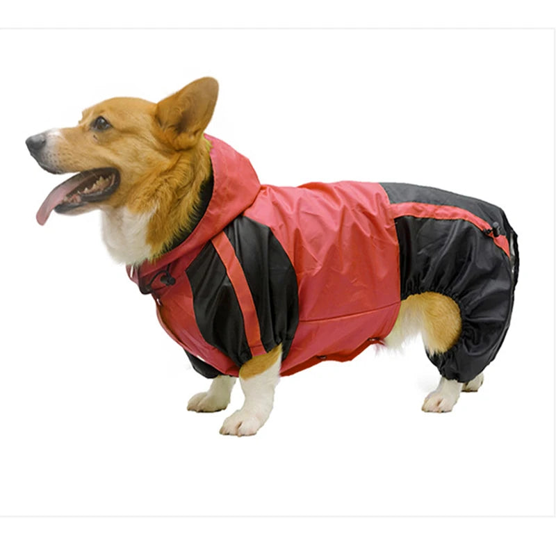 RainPaws Suit