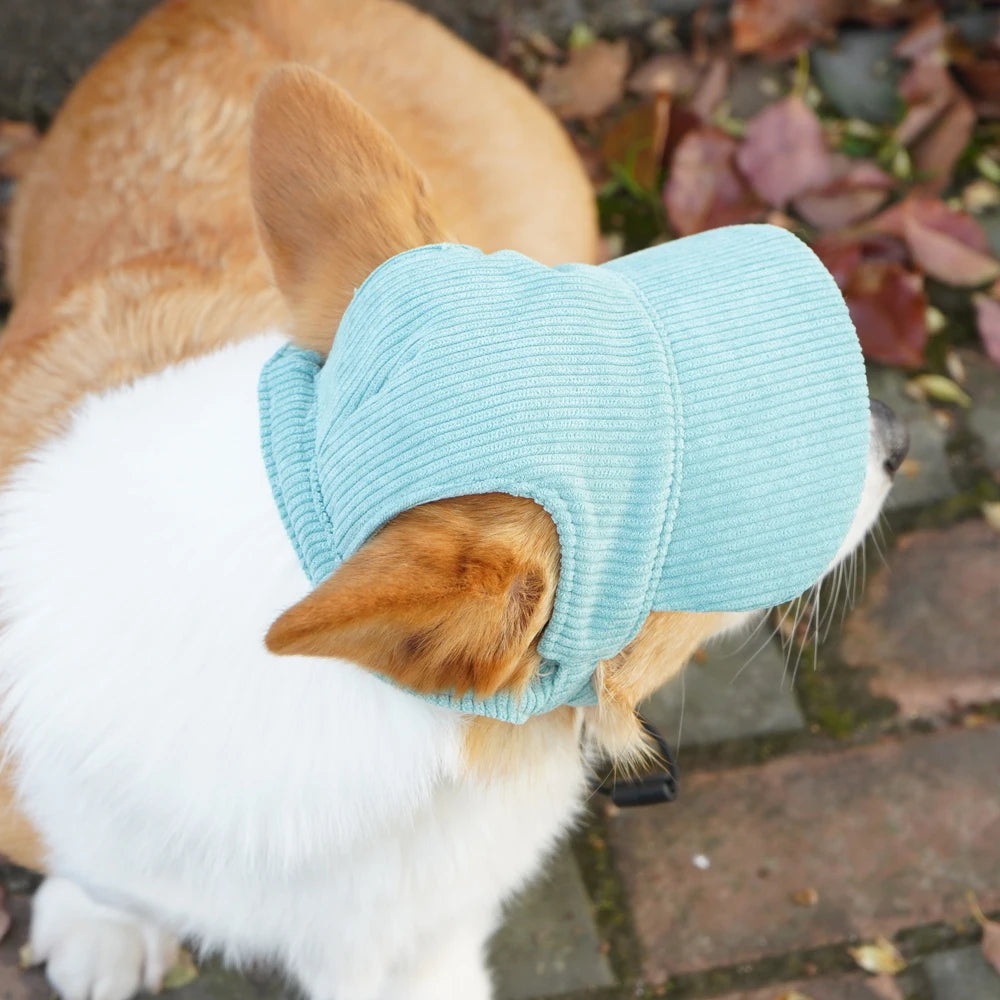 PawCap