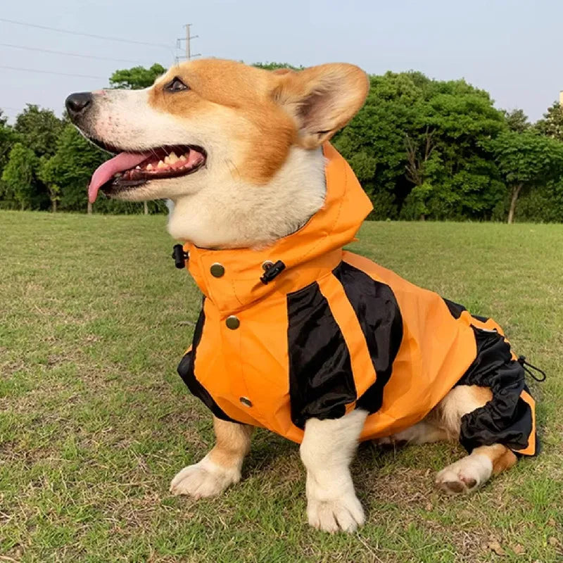 RainPaws Suit