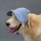 PawCap