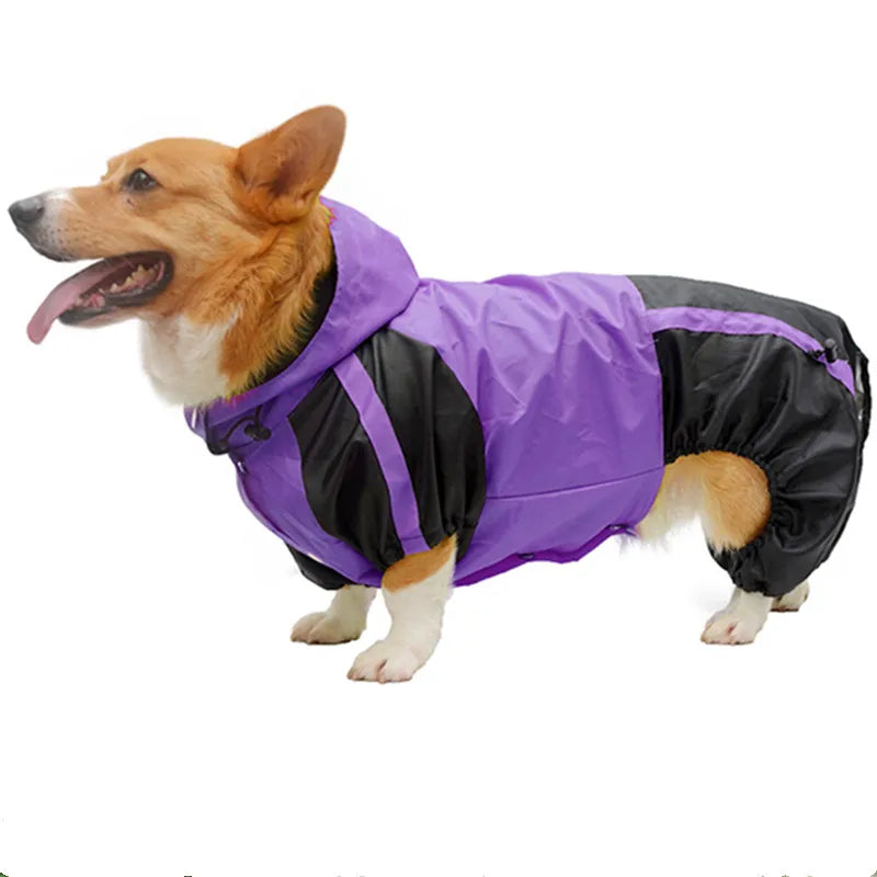 RainPaws Suit