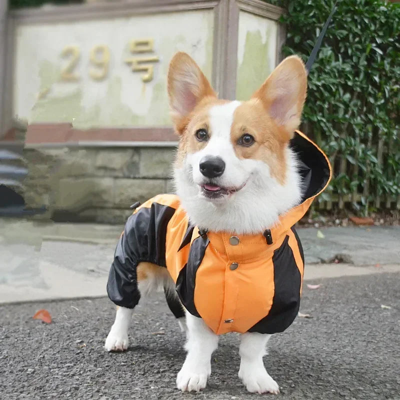 RainPaws Suit
