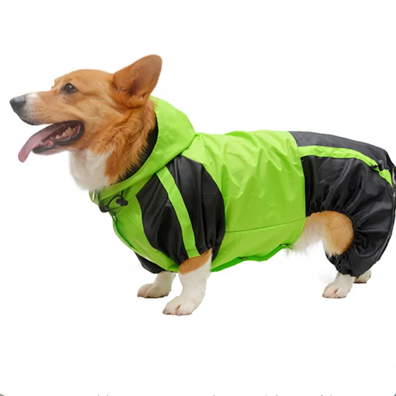RainPaws Suit