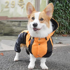 RainPaws Suit