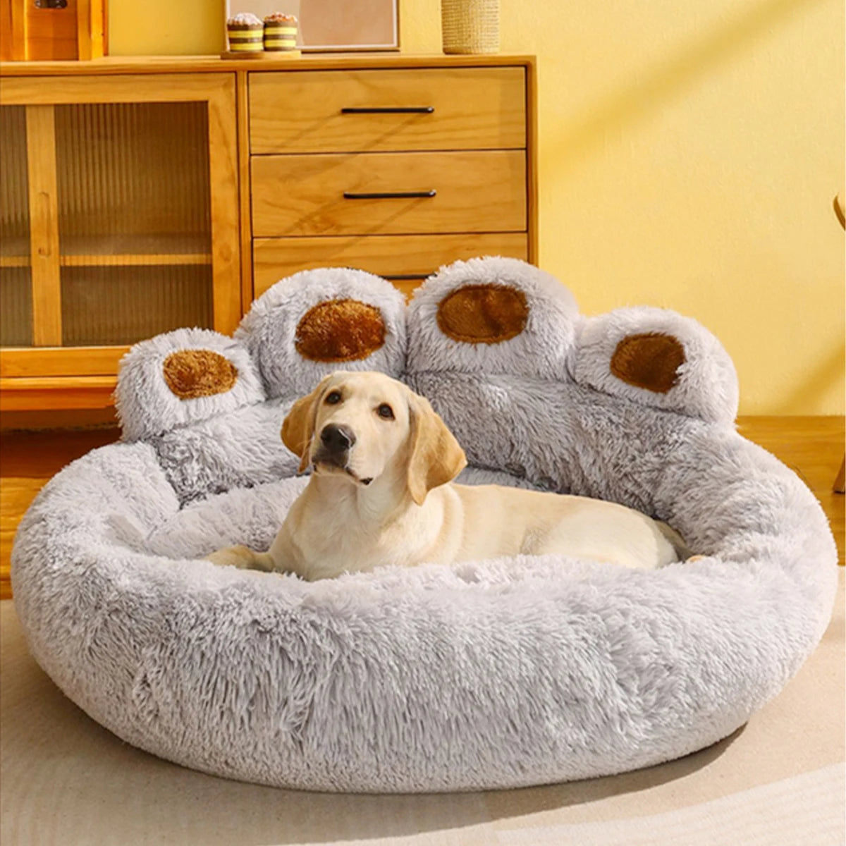 DreamNest