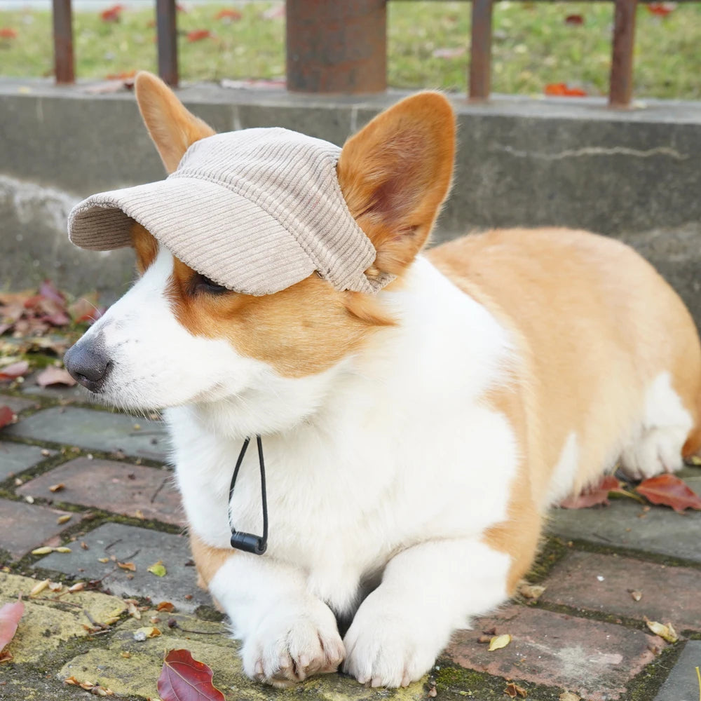 PawCap