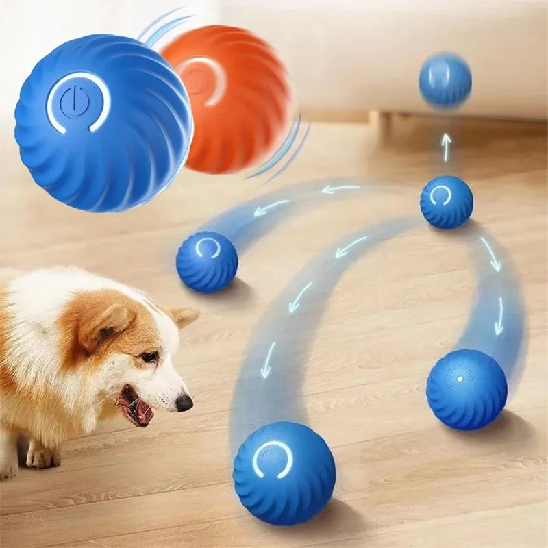 BounceBuddy – Mehr als Spielzeug  Aktive Hunde sind glückliche Hunde.🐶
