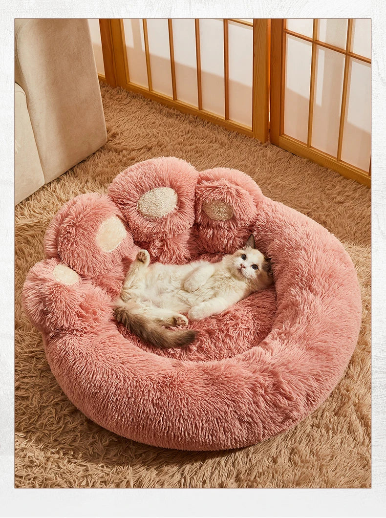 DreamNest