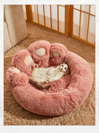 DreamNest