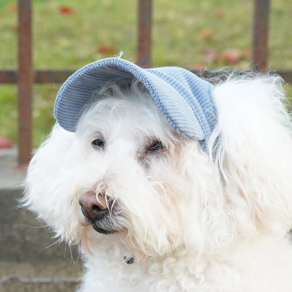 PawCap