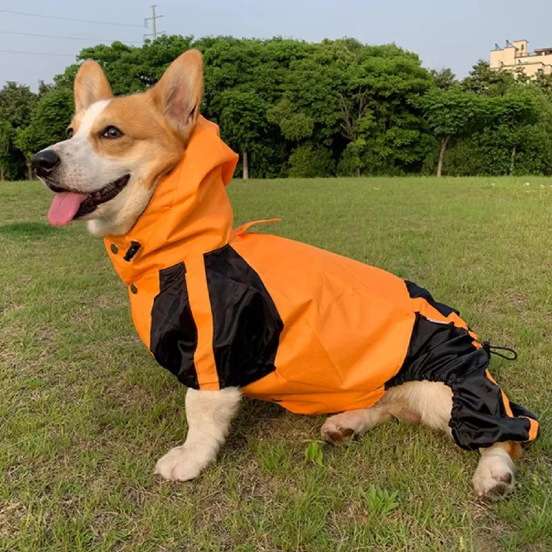 RainPaws Suit