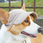 PawCap