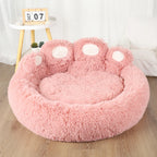 DreamNest