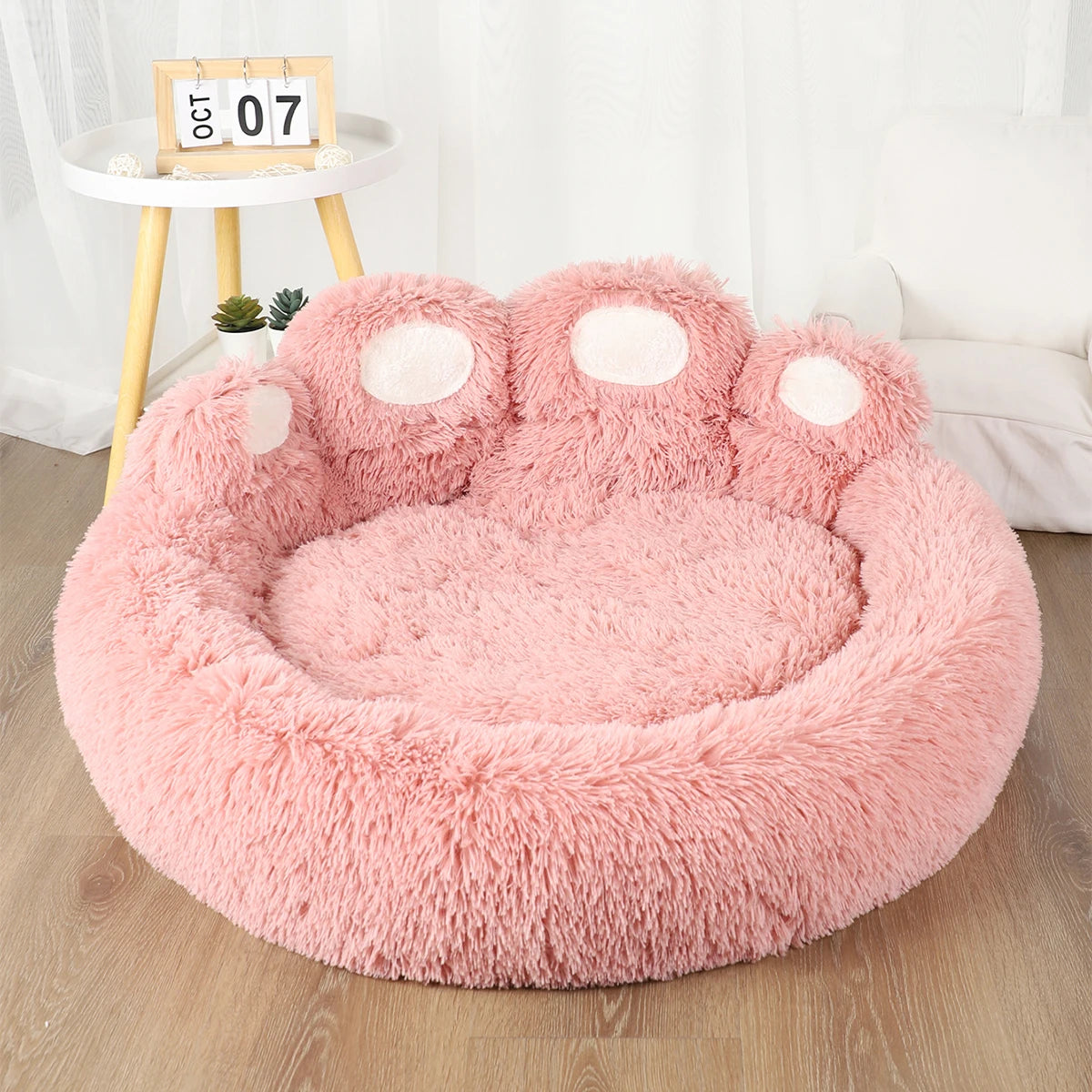 DreamNest