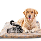 KuschelPfote