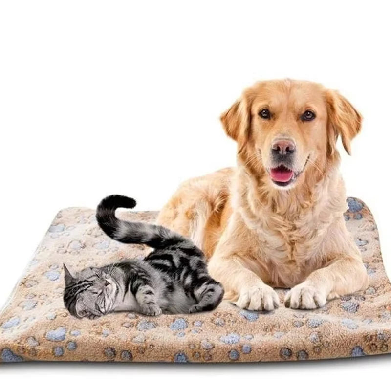 KuschelPfote