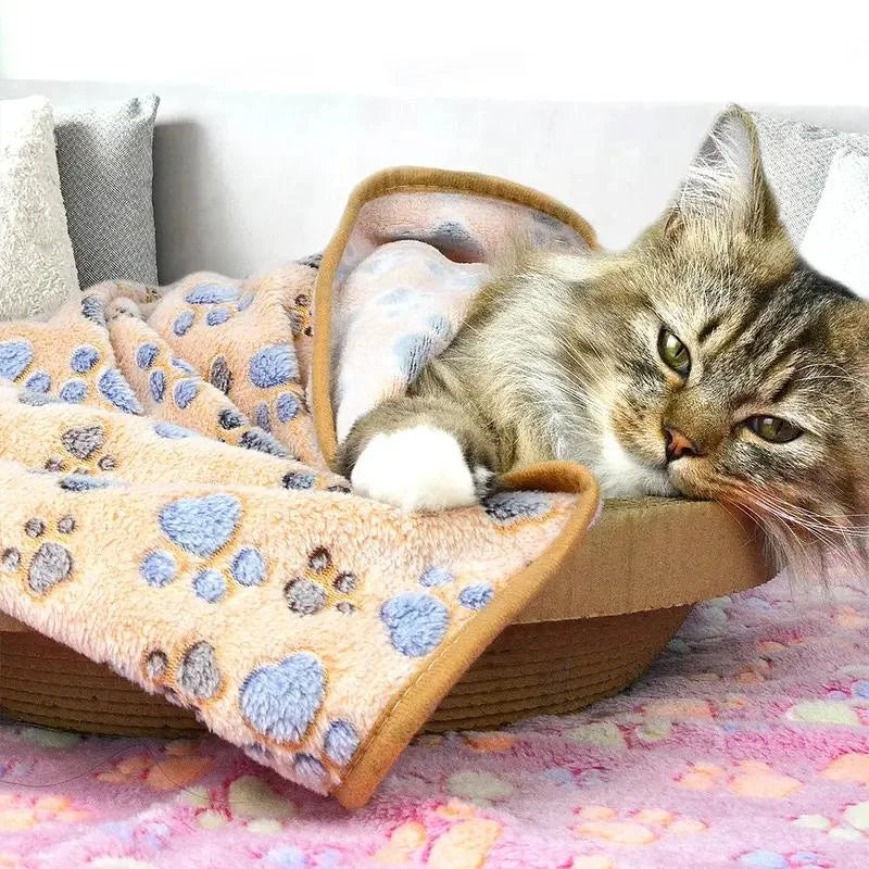 KuschelPfote