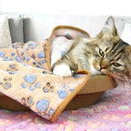 KuschelPfote
