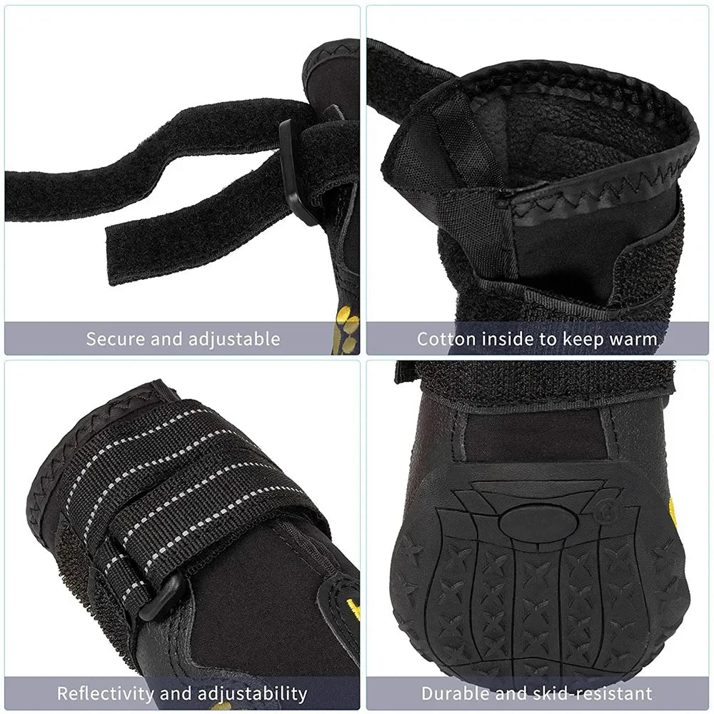 PfotenHeld