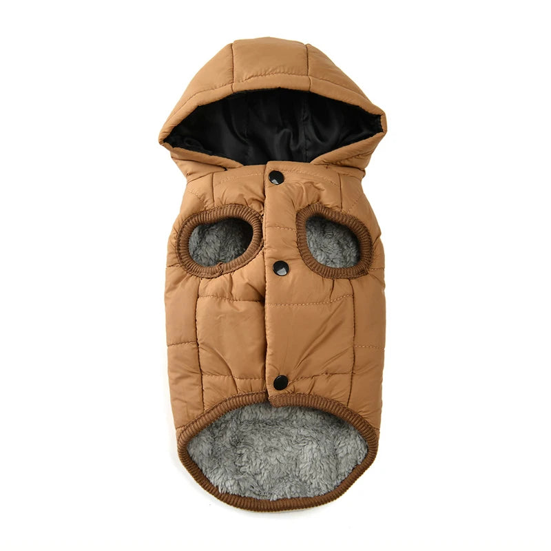 WarmPaw