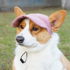 PawCap