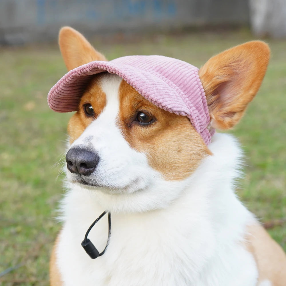 PawCap