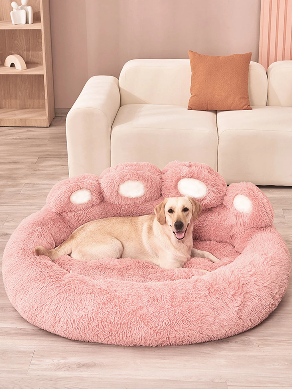 DreamNest