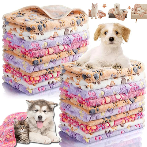 KuschelPfote