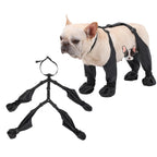 PawCarry