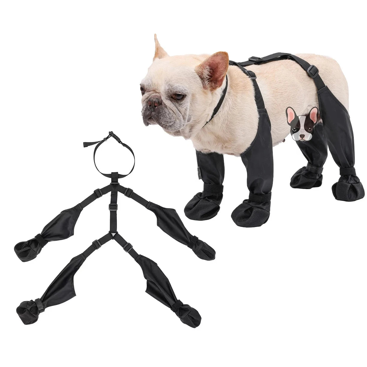PawCarry