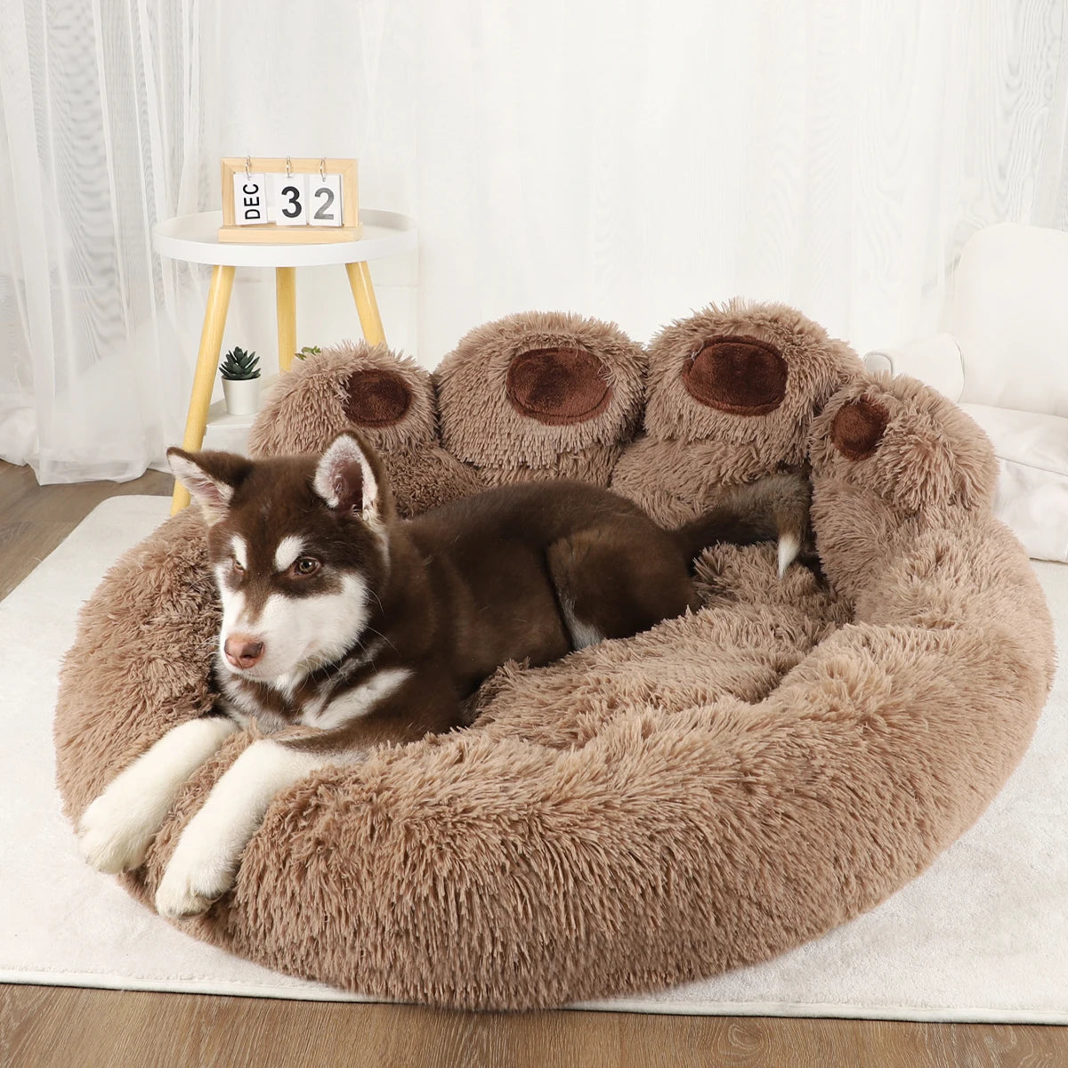 DreamNest