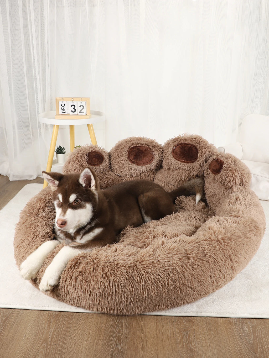 DreamNest