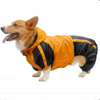 RainPaws Suit