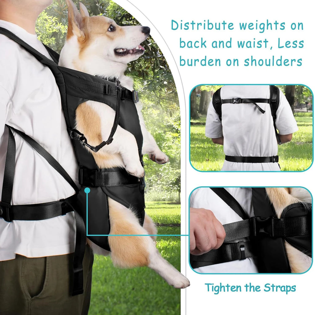 PawCarry