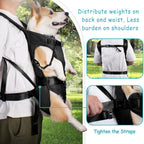 PawCarry