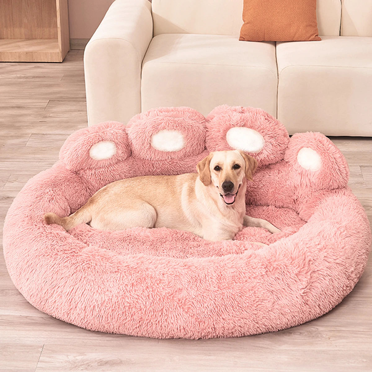 DreamNest