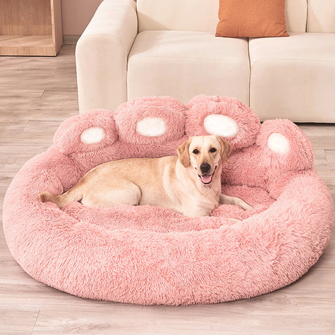 DreamNest