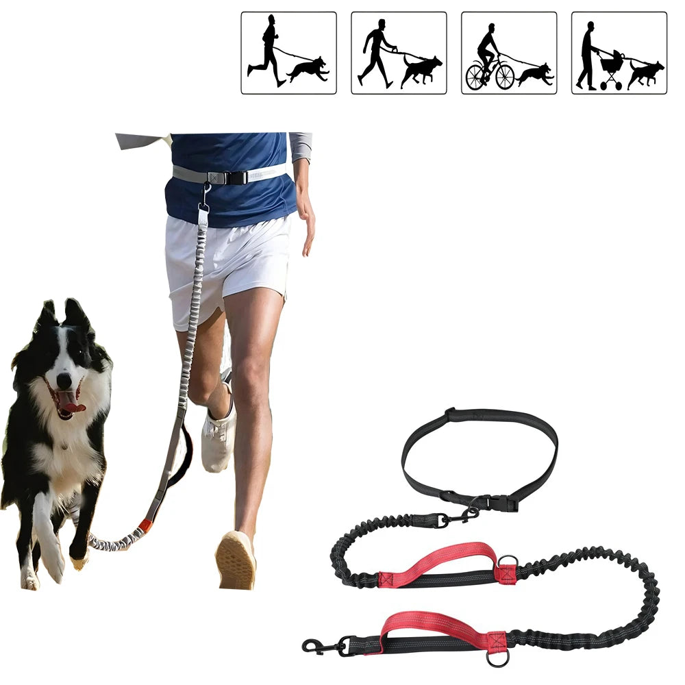 PawCarry