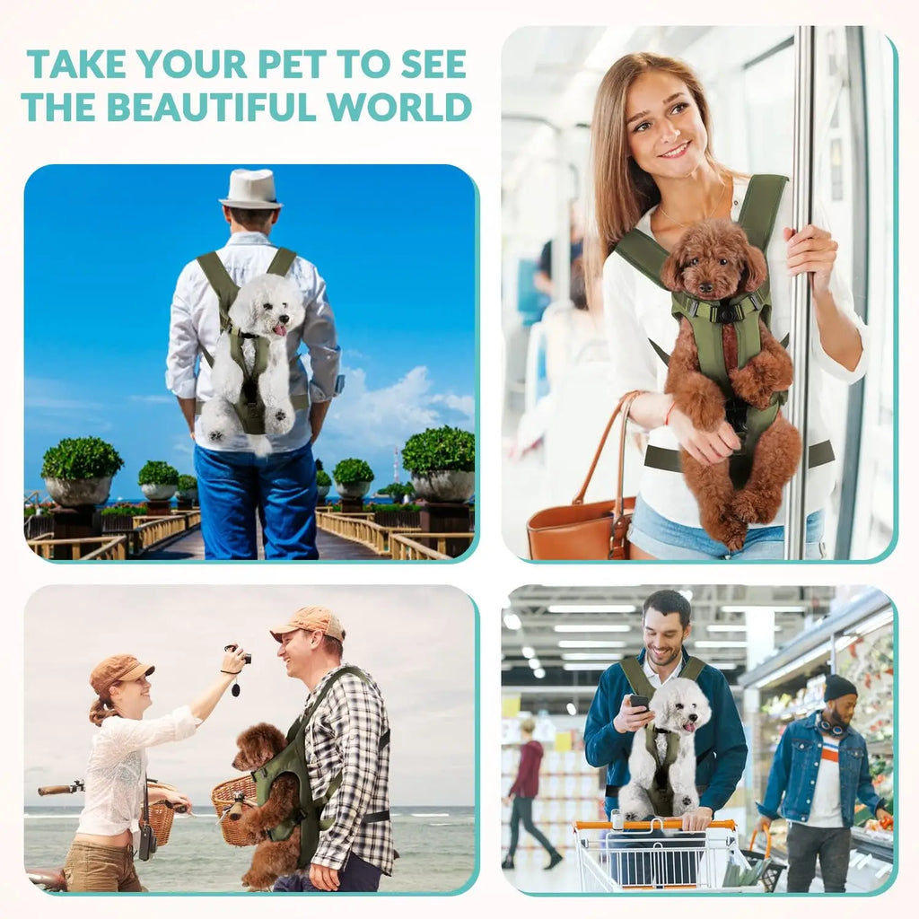 PawCarry