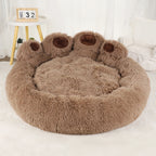 DreamNest