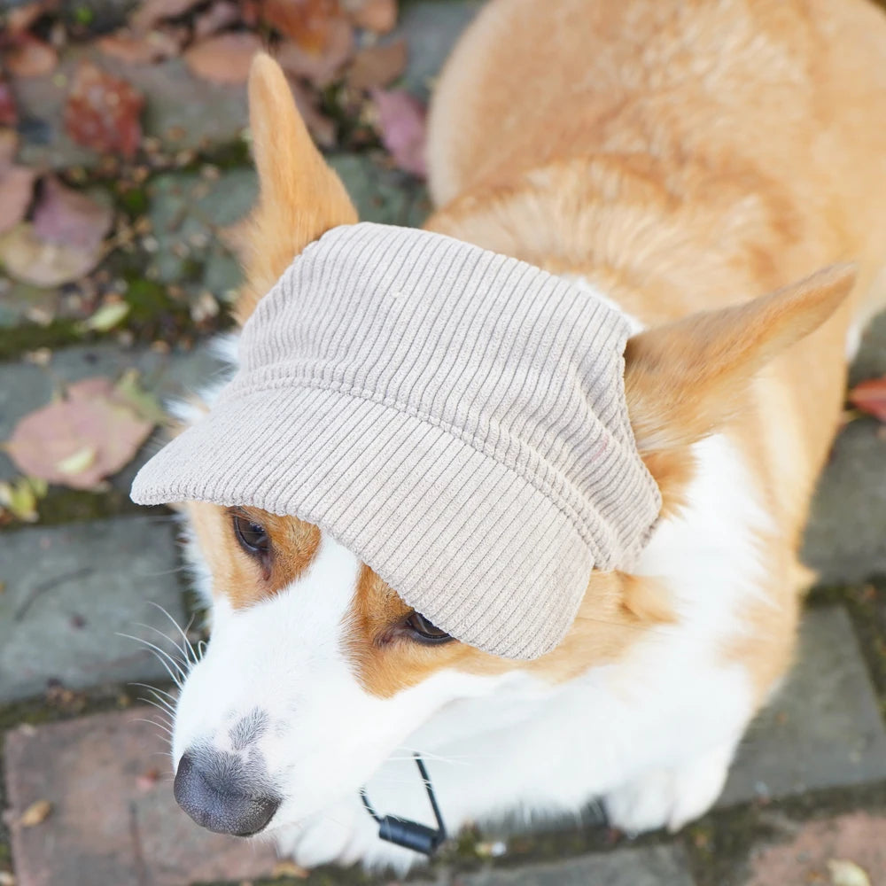PawCap